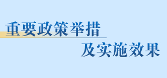 重要政策举措及实施效果